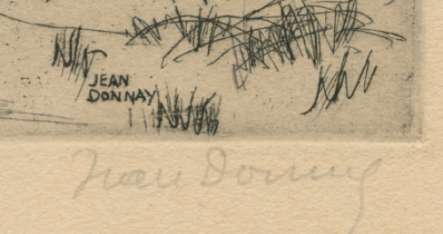 Weg langs de weide met wandelaar met hondje in de verte