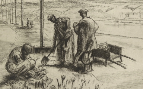 Ets uit van J. Donnay kopen