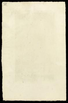 Saule et Peupliers épreuve d'artiste X/X