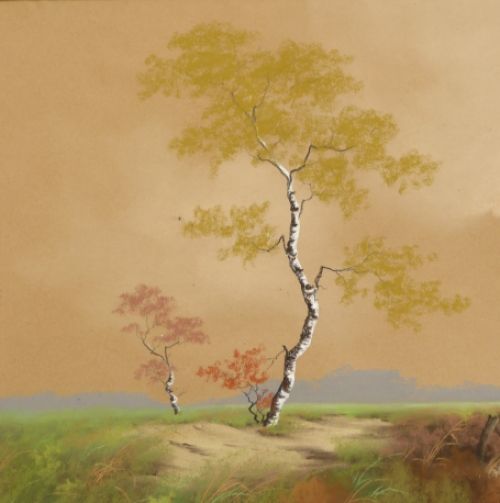 Pastel Sloepen aan een meer
