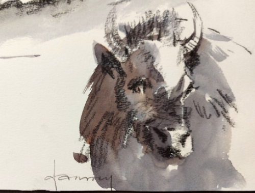 Een aquarel /tekening van Jef Janssens kopen