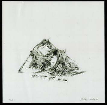 Print van de Belgische kunstenaar Jef Van Grieken kopen