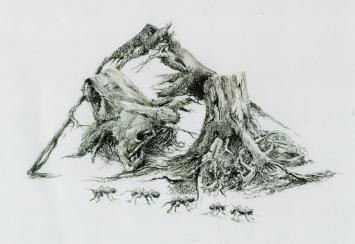 Gesigneerde print van de Belgische etser Jef Van Grieken