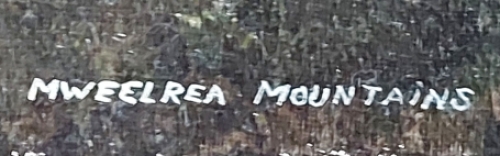 Hyperrealistisch schilderij van de Belgische kunstschilder J Van Grieken