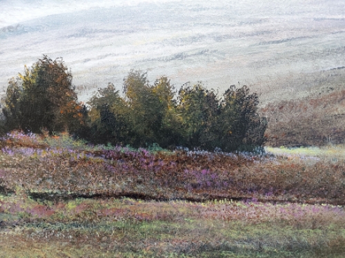 Mweelrea Mountains 1990