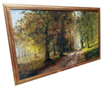 Het pad in het bos