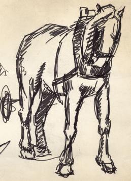 Jos Mous met een tekening van een havenpaard