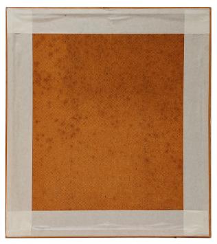 Twee stoere knotwilgen aan het water