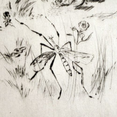 Draftsman Joris Minne