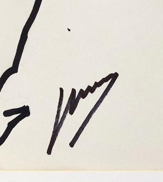 op wandel met de hond