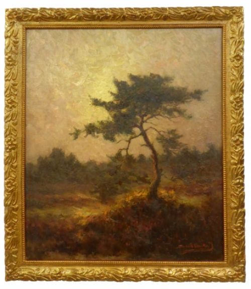 Heidelandschap met éénzame boom