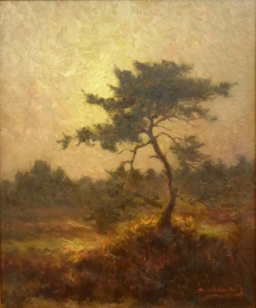 Heidelandschap met éénzame boom