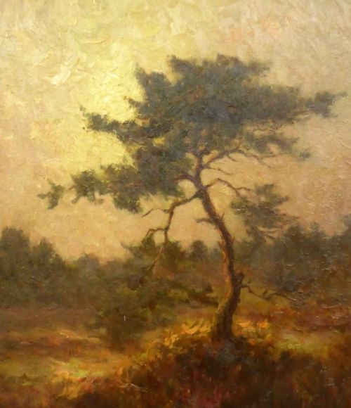 Heidelandschap met éénzame boom