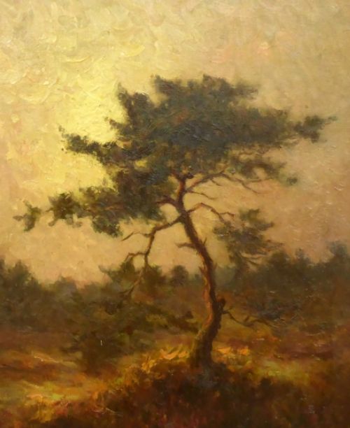 Heidelandschap met éénzame boom