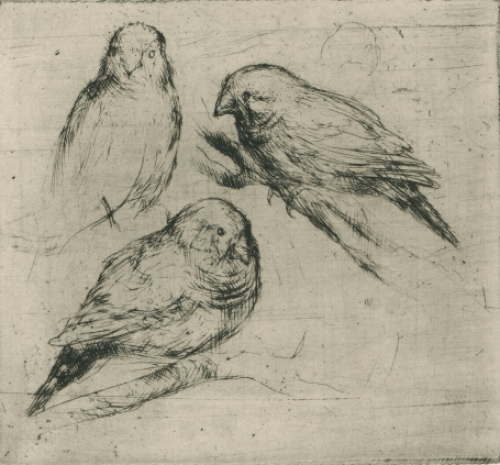 Vogeltjes van Jules Van Ael, kleine ets