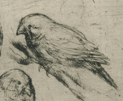 Etsen kopen van de Antwerpse kunstenaar Jules Van Ael