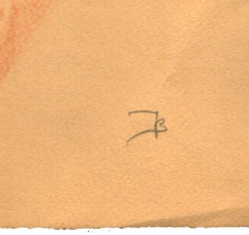 Dessin de Jules Pierre van Biesbroeck (Jr)