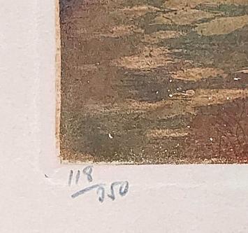 Litho kopen van Julien Célos