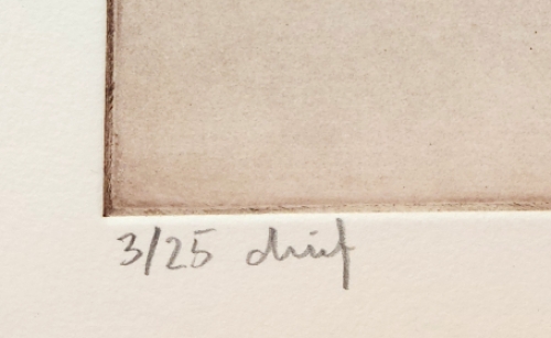 Kunstwerk van de  Belgische lithomaker Jürgen Schneider