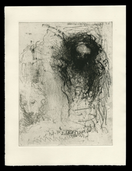 Ets kopen van Karel Dierickx