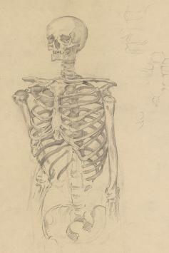 Ignace Kennis met een tekening van een heup