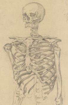 De Mechelse kunstenaar Ignace Kennis met een potloodtekening