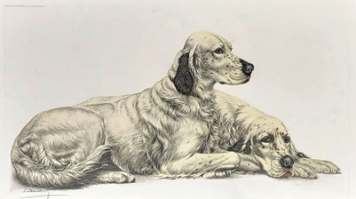 Jachthonden van Léon Danchin uit 1938