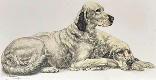 Litho Engelse setters van Léon Danchin