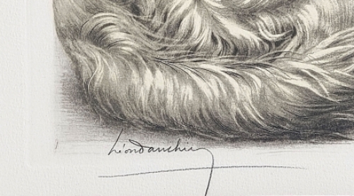 Twee rustende Engelse setters 1938