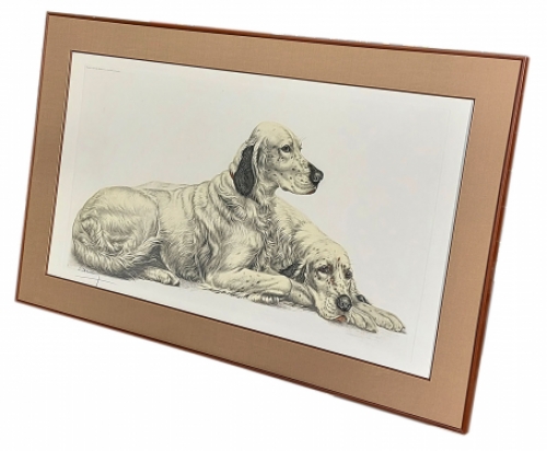 Twee rustende Engelse setters 1938