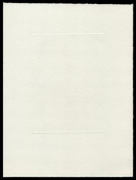 Sleutelbloem 12/50
