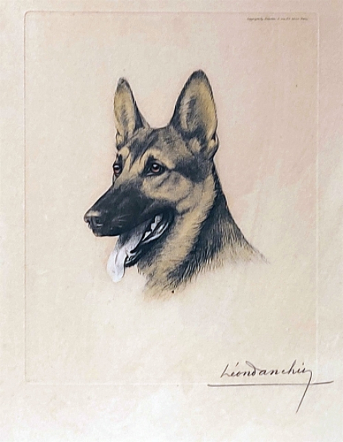 Léon Danchin met een litho van een Duitse herdershond