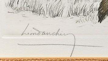 Engelse setter Laverack met wild