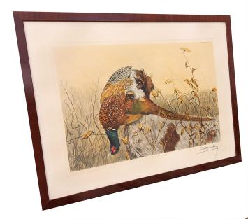 Griffon Korthals met fazant 313/500