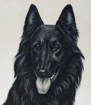 Grote litho van Léon Danchin kopen