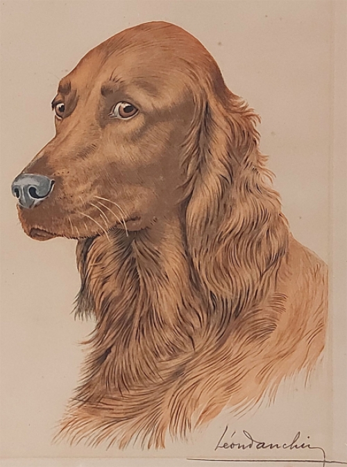 Jachthond van Léon Danchin