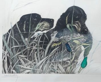 Jachthonden, Ierse setters van Léon Danchin