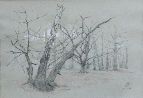 Dessin rehaussé Dédié à August Vermeylen (1925) de Leo Engels représentant des arbres dans un paysage forestier serein.