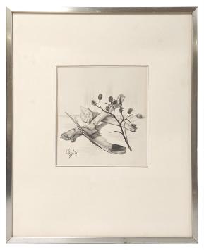 Tekening van Leonardo Torfs aankopen