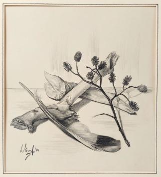Potloodtekening van de Belgische graficus Leonardo Torfs
