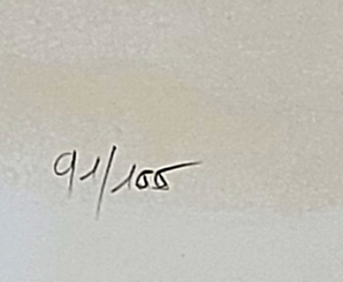 De blauwe dame 91/100