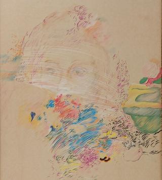 Belgische kunst van Frank Liefooghe