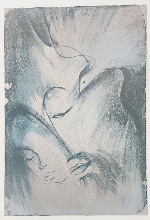 Kunstwerk van de Belgische graficus Dries Van Den Broeck