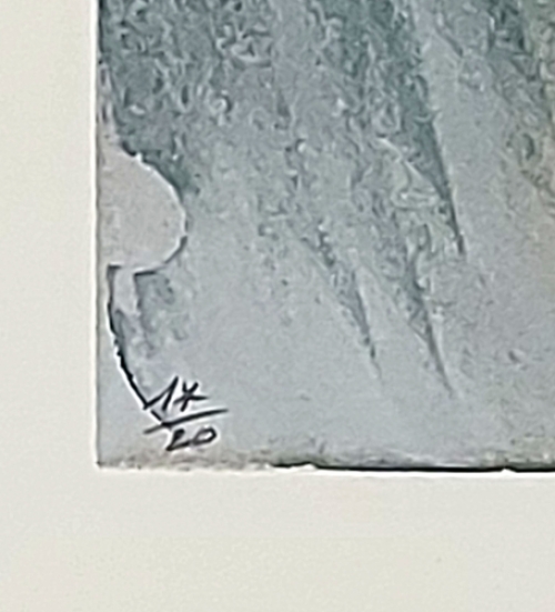 Kunstwerk van Dries Van Den Broeck kopen