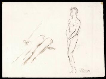 Tekeningen van Lode Sebregts