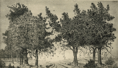 Grafisch kunstwerkje van Louis Peeters kopen