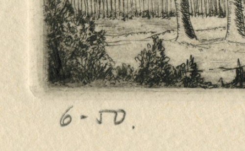 Landschapje met bomen en veldweg 6/50