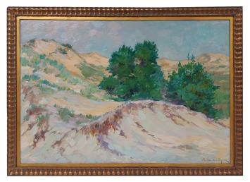 De Belgische kustduinen van  Louis Van den Eynde kopen