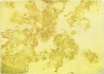 Gele kleine monotype
