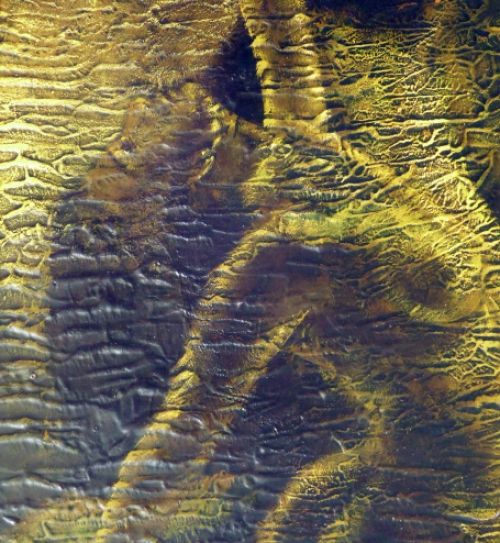 Belgische schilder kunstenaar Luc de Ro